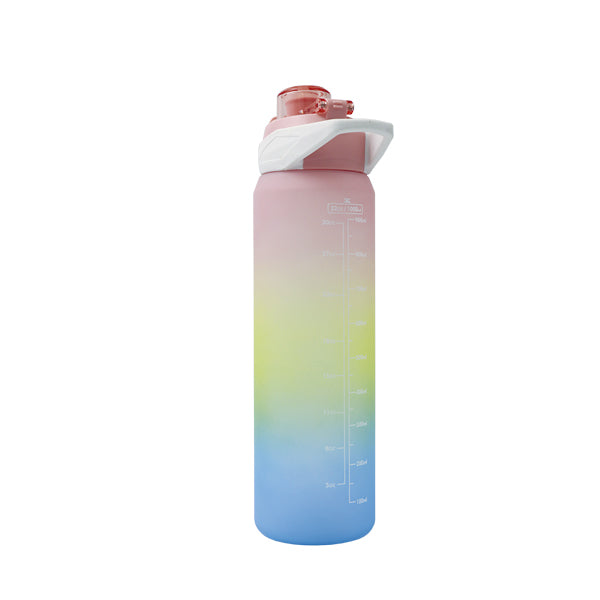 Botella 1 litro
