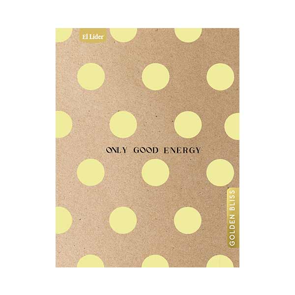 Cuaderno resortes grande surtido Femenino 150 hojas el Líder