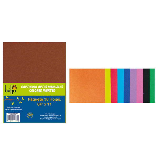 cartulina artes manuales 30 hojas Búho