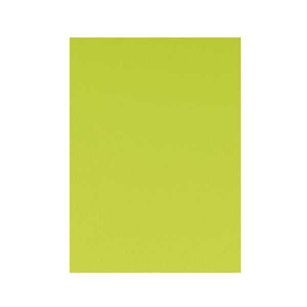 Foam liso carta 21.5x28 verde