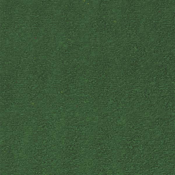 Foam toalla 21.5x28cm verde Basic.