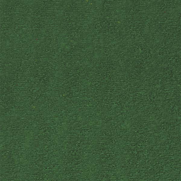 Foam toalla 21.5x28cm verde Basic.