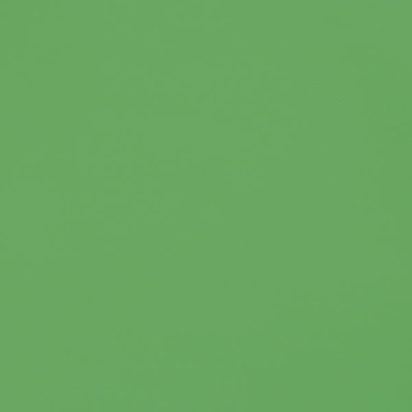 Foam liso pliego 45x60 verde oli