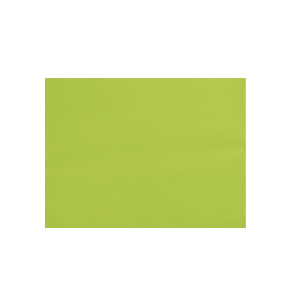 Foam liso pliego 45x60 verde