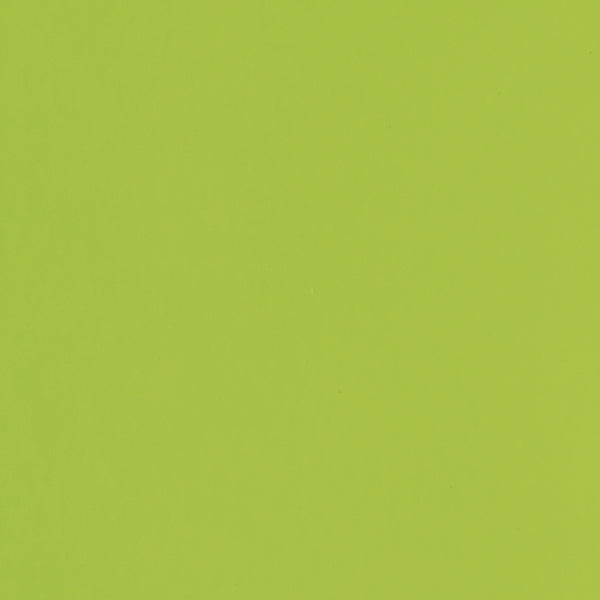 Foam liso pliego 45x60 verde