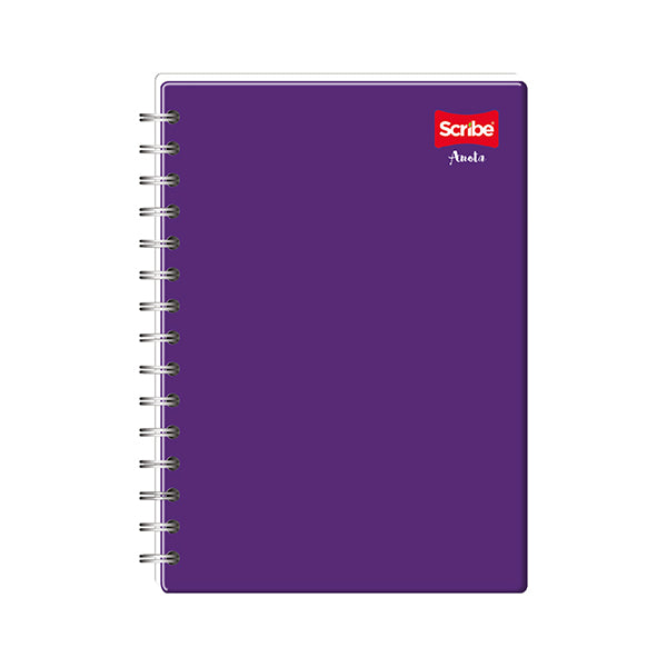 Cuaderno espiral 100 hojas liso