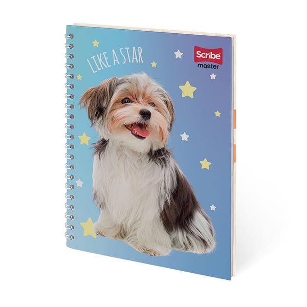 Cuaderno doble espiral 100 hojas