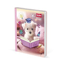 Cuaderno cosido grande 100h huellitas Scribe