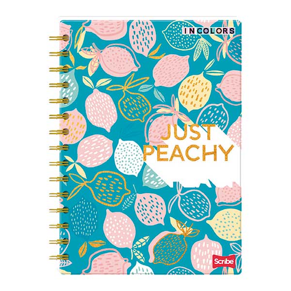 Cuaderno doble espiral 80 hojas tapa dura