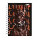 Cuaderno doble espiral 80 hojas