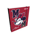 Portafolio argolla cartón impresa Disney