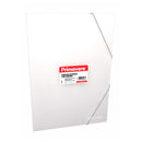 Carpeta plastica carta fuelle transparente