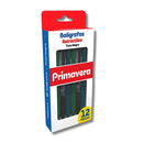 Lapicero hombre 12 unidades Primavera