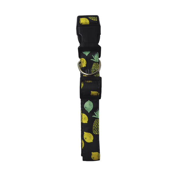 Collar para perro estampado Puppy.