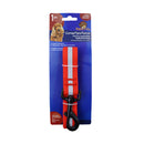 Correa para mascotas grande Puppy.