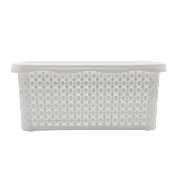Caja organizadora 5L