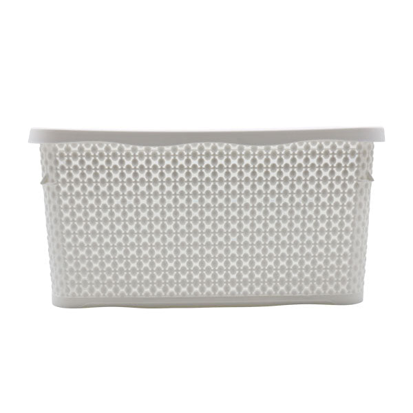 Caja organizadora 30L