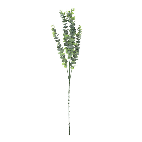 Pick hojas de eucalipto 80cm