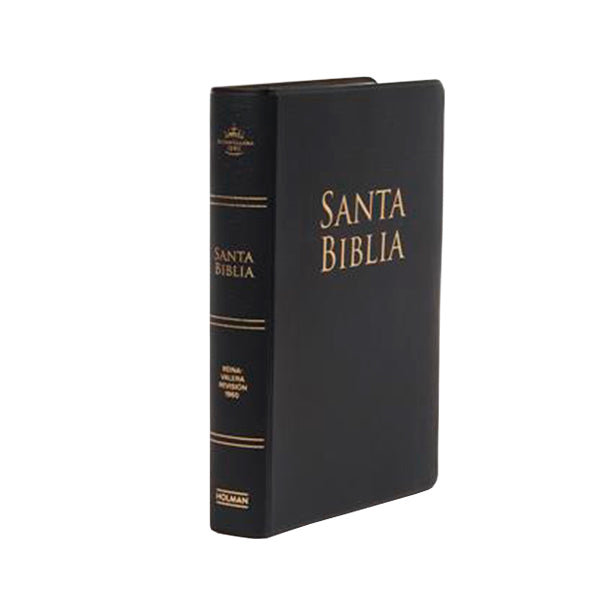 Biblia RVR1960 letra grande