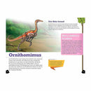 Dinosaurios corredores rápidos