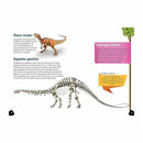 Herbívoros gigantes