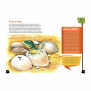 El ascenso de los reptiles