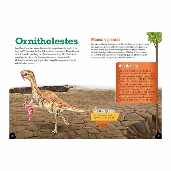 Dinosaurios pequeños
