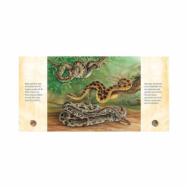 Una gran serpiente