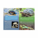 500 curiosidades de los animales