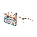 Pteranodon: La era de los dinosaurios