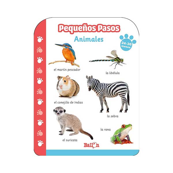 Pequeños pasos animales