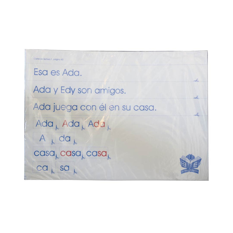 Dominios de Español 1 + Lámina